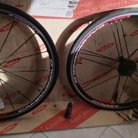 Campagnolo Shamal 2way fit freni rim ruote.