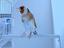 Immagine 5