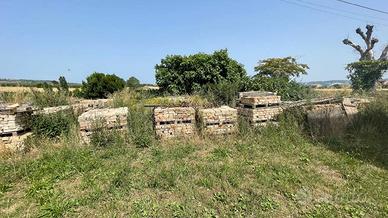 CASOLARE DA RISTRUTTURARE CON TERRENO VISTA MARE E