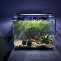 Acquario completo NUOVO