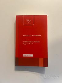 Rosaria Caldarone - La Filosofia in Fiamme