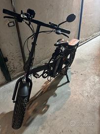 Bici elettrica