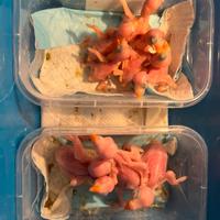 Pulli parrocchetto dal collare