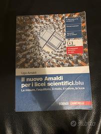 Libro Il nuono Amaldi