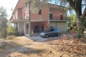 Villa con terreno e ulivi