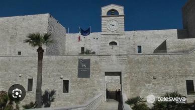 Riproduzione Castello Svevo di Trani