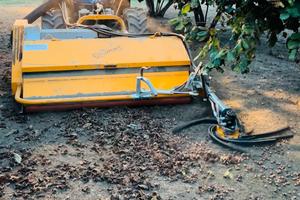 Macchina raccolta nocciole