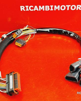 CABLAGGIO AUDIO HARLEY DAVIDSON TOURING