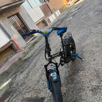 Bici elettrica