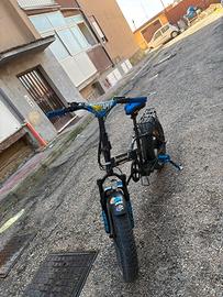 Bici elettrica