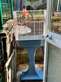 Gabbia uccelli con cibo cocorite nuovo