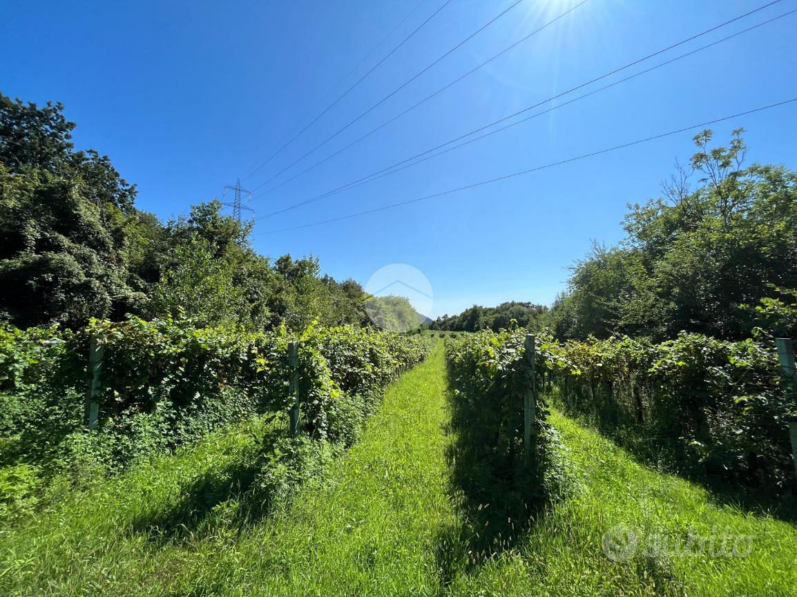 TER. AGRICOLO A CAPRINO VERONESE - Vista 3