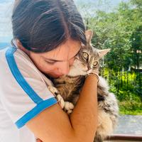 Pet Sitter