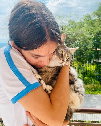 Pet Sitter
