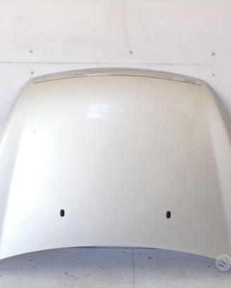 Cofano Anteriore Ford Focus 2 2009