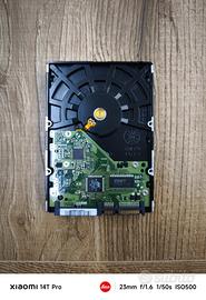 hard disk Samsung SATA HD103si da 1 tb