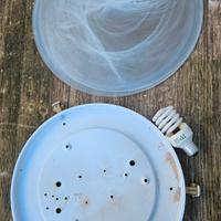 Plafoniera usata con due lampadine incluse