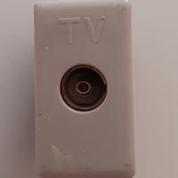 Presa TV coassiale BTICINO TEKNE 13962D usata