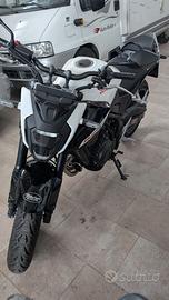 Honda cb500 hornet 2025