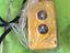 Immagine 7