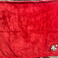 Cooerta Disney topolino