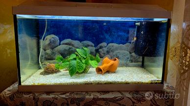 Acquario Genius 60 lt