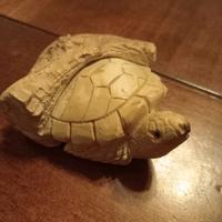Scultura