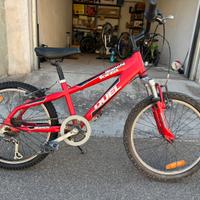 Bianchi Forza 20 pollici