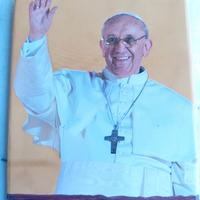 calamite Papa Francesco