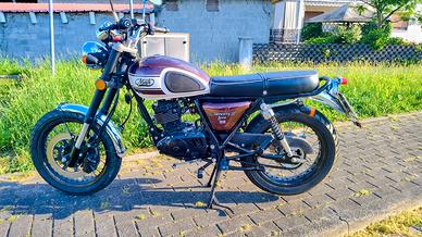 Mash seventy five 125 