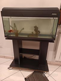 acquario