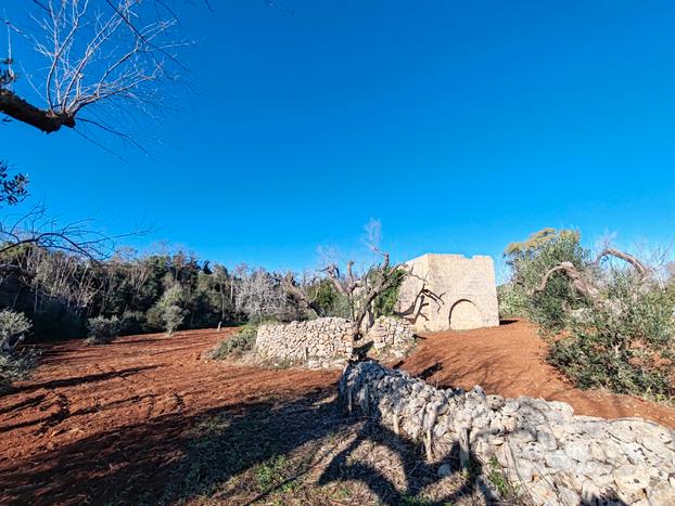 Antico fabbricato rurale con terreno recintato