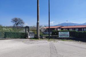 5 LOCALI A AVELLINO