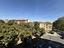 Immagine 7