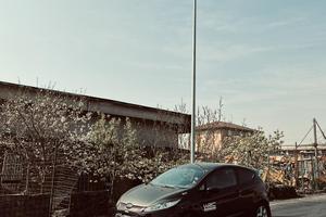 FORS FIESTA 2009