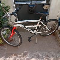 bicicletta ( 24cm )