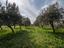 Immagine 7
