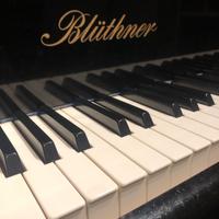 Pianoforte a coda Bluthner