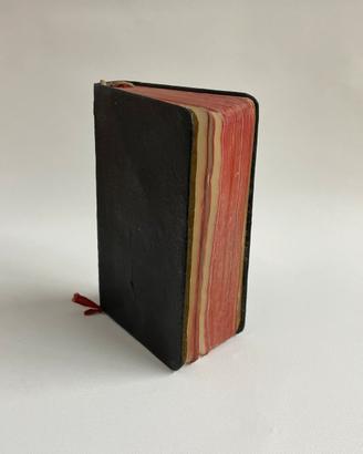 Libro Antico, Horae Diurnae