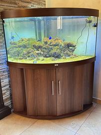 Acquario juwell trigon 350