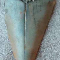 Dente autentico fossile di squalo bianco 