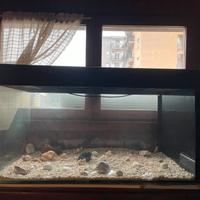 Acquario completo di accessori