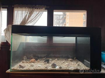 Acquario completo di accessori