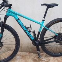 MtB Bianchi Methanol Carbon M 