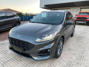 Ford Kuga 1.5 EcoBlue 120 CV 2WD ST-Line