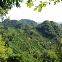 Bosco Farra di Soligo