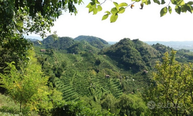 Bosco Farra di Soligo