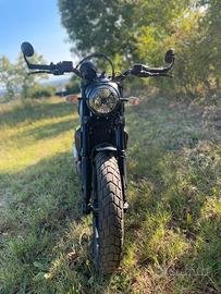 Ducati Scrambler 800