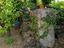 Immagine 25