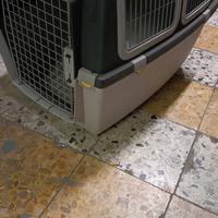 Trasportino cuccia kennel